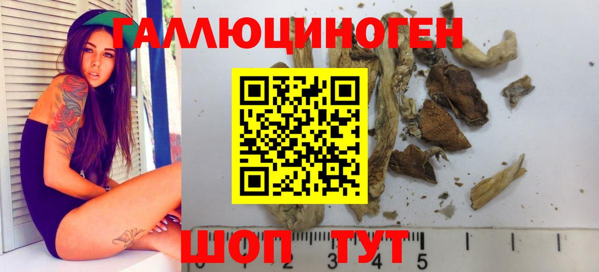 Псилоцибиновые грибы Cubensis Назарово